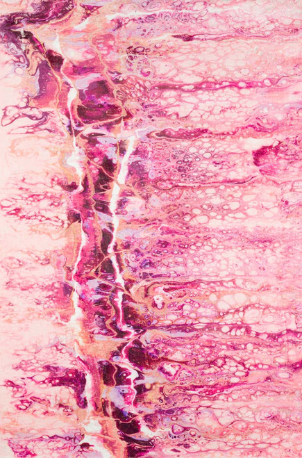 Dalyn Kikiamo KK16 Flamingo Rug