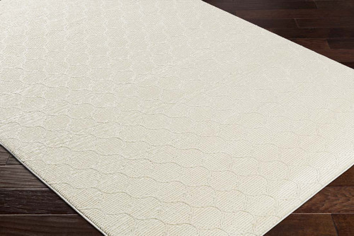 Livabliss Alder ALD-2307 Rug