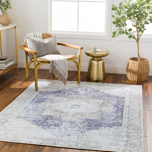 Livabliss Amelie AML-2363 Area Rug