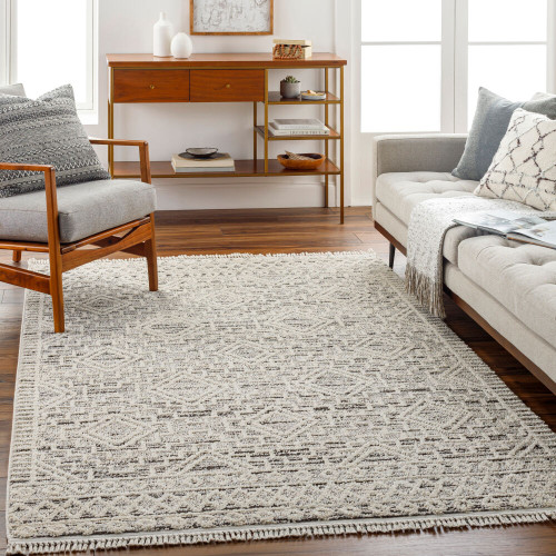 LivaBliss Berlin BLR-2300 Area Rug