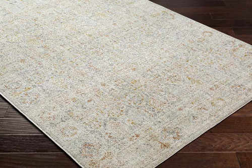 Livabliss Bitlis BSI-2305 Area Rug