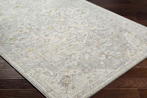 Livabliss Bitlis BSI-2306 Area Rug