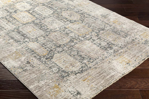 Surya Carlisle CSI-2319 Area Rug