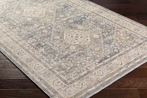 Livabliss Chicago CHG-2318 Area Rug