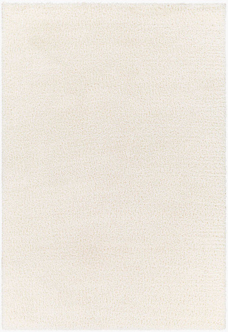 Livabliss Cloudy shag CDG-2302 Rug