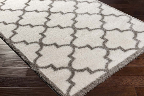 LivaBliss Cloudy shag CDG-2314 Area Rug