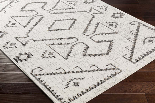 Livabliss Delphi DEP-2311 Area Rug