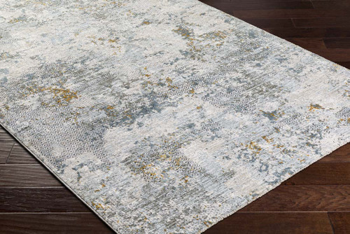 LivaBliss Dresden DRE-2302 Area Rug