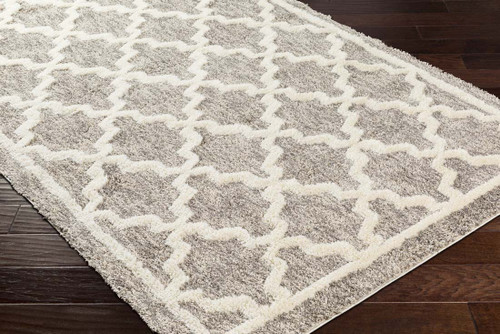Livabliss Florida FLD-2301 Area Rug