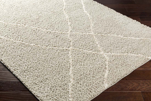 Livabliss Maryland shag MSG-2303 Area Rug