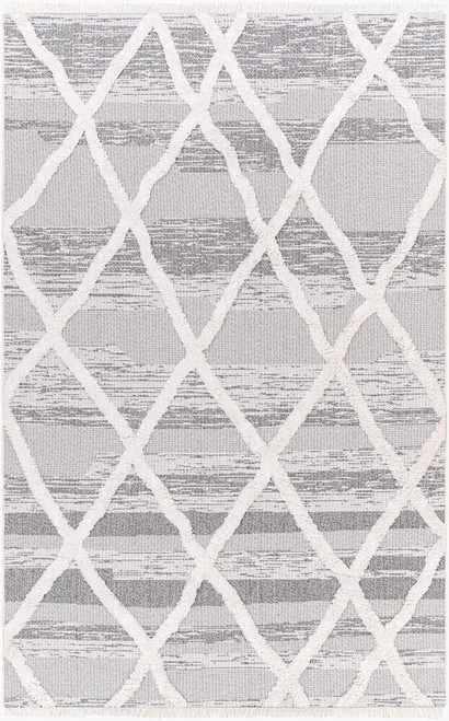 Livabliss Morocotton MCT-2306 Area Rug