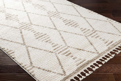 Livabliss Valencia VLC-2319 Area Rug