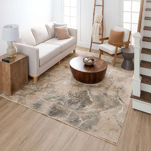 Karastan Echo R1063 238 Tesoro Cream Rug