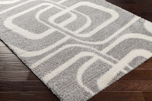 LivaBliss Cloudy shag CDG-2310 Area Rug