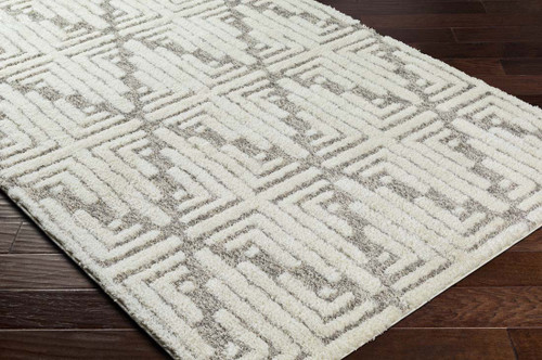 LivaBliss Florida FLD-2309 Area Rug