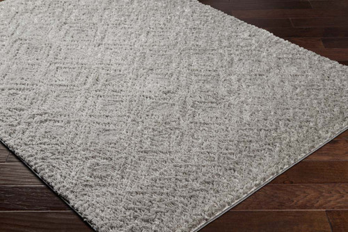 Livabliss Nomadic NMC-2303 Area Rug