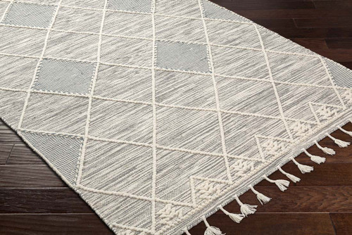 LivaBliss Norwood NWD-2307 Area Rug