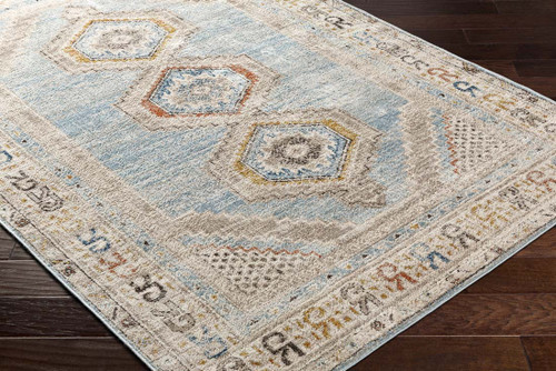 Livabliss Pertek PTK-2310 Area Rug