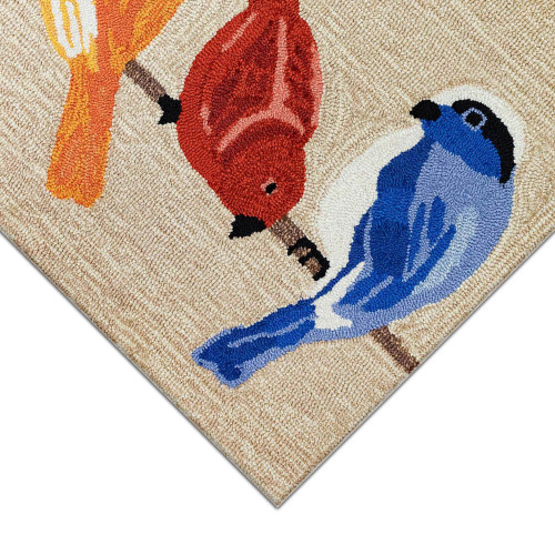 TransOcean Frontporch 4457 12 Birds Neutral Rug