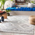 LivaBliss Big Sur BSR-2313 Rug