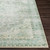 Livabliss Erin ERN-2309 Rug