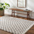Livabliss Birmingham BMM-2321 Rug