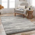 Livabliss Cherokee CHK-2308 Rug