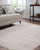 Livabliss Mansfield MFD-2304 Rug