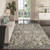 Dalyn Tuscany TU2 Gray Rug