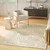 Nourison Home Ambiance AMI02 Ivory Gold Rug