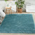 Nourison Home Dreamy Shag DRS05 Aqua Rug