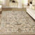 Radici Colosseo 3562 Bone Rug