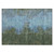 Addison Chantille ACN1742 Cactus Rug