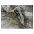 Addison Chantille ACN1937 Gray Rug