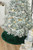 Momeni Furry Tree Skirt FTS-1 Green Rug