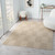 LR Home Atlas 82418 Beige Rug
