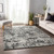 Addison Mayfield AMF66 Gray Rug