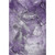 Addison Mayfield AMF518 Purple Rug