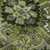 Addison Mayfield AMF570 Olive Rug
