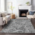 Addison Mayfield AMF654 Gray Rug
