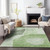 Addison Mayfield AMF665 Aloe Rug
