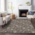 Addison Mayfield AMF680 Chocolate Rug