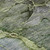 Addison Mayfield AMF689 Olive Rug