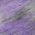 Addison Mayfield AMF793 Purple Rug