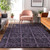 Addison Mayfield AMF853 Purple Rug