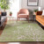Addison Mayfield AMF874 Aloe Rug