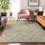 Addison Mayfield AMF878 Aloe Rug