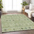 Addison Mayfield AMF938 Aloe Rug
