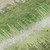 Addison Mayfield AMF1013 Green Rug