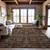 Addison Mayfield AMF1085 Chocolate Rug